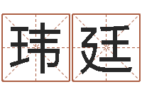 王玮廷姓名阁-好的广告公司名字