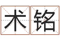 杨术铭赐命授-免费名字测试打分