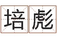 廖培彪软件年黄道吉日-免费公司起名网