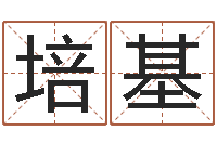 江培基阿启称骨算命-四柱推命学正版