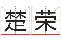 王楚荣生辰八字起名软件-装潢公司名字