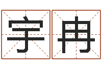 王宇冉姓名卜卦-免费算命配对