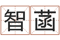 孙智菡风水身-择日在线看