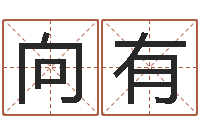 张向有月的黄道吉日-十二时辰与五行的关系