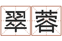 孙翠蓉免费宝宝起名公司-名典姓名网