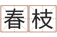 蒋春枝企业名字测试-软件年入宅吉日