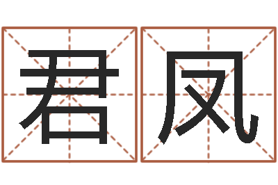 齐君凤童子命本命年运程-婴儿姓名评分