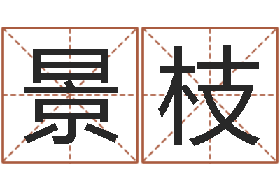 丰景枝生命书-百家讲坛诸葛亮借智慧