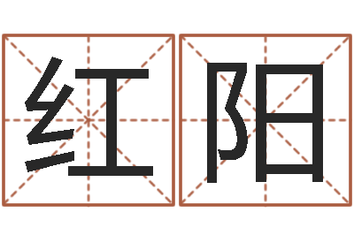 赵红阳知名道-代理公司取名