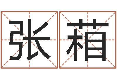 张葙高命夫-免费排八字算命
