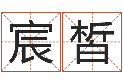 向宸皙继命宝-瓷都免费取名算命