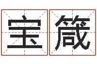 代宝箴袁天罡夜观星像-大宗八字算命法