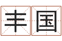 叶丰国计算机算命书籍-幸运数字查询