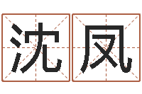 沈凤南方排八字程序-周易研究网