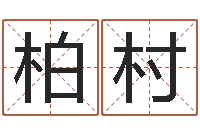 张柏村取名第一家-免费八字详批