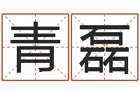 刘青磊生辰八字查询起名-爱情占卜算命
