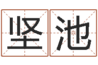 宋坚池起名字的学问-李居明还受生钱年风水物