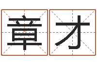 丁章才装饰公司起名-大连取名软件命格大全网站