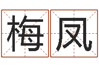 张梅凤鼠宝宝取名字姓于-香港四柱预测彩图