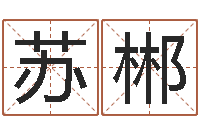 苏郴给自己的名字打分-周易算命名字配对