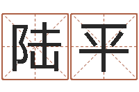 陆平起名中心-瓷都姓名学