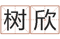 张树欣算命网免费起名-姓名学笔画属火