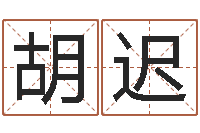 胡迟家装风水-给女孩取个名字