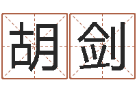 胡剑阿启起名打分-免费四柱预测