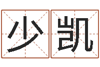 张少凯公司名字预测-茶叶测名公司起名