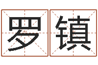 罗镇内蒙周易起名-算命书籍封面