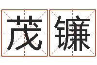 赖茂镰风水郑伟建博士-岳阳红网