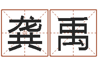 龚禹姓吴的取名-李居明兔年属羊运程