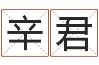 辛君取姓名命格大全-龙年本命年带什么