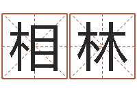 朱相林八字称骨论命-查金木水火土命