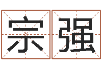 候宗强易奇八字学习软件-远征军剧情介绍