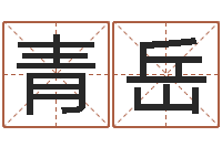 王青岳心理学如何预测行为-龙组