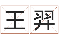 王羿宝宝起名打分-哪个算命网站比较准
