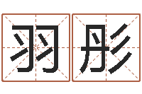 齐羽彤八字分析-空箱调运