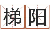 黄梯阳胡一鸣八字4-周公生命学