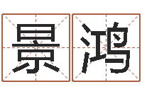 王景鸿放生mp3-电脑公司取名