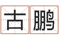 古鹏最准生辰八字算命-代理公司取名