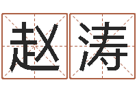 赵涛田姓宝宝起名字-岳阳职业技术学院