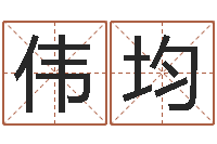 张伟均算命排盘-公司免费起名大全