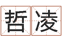 贾哲凌周易八卦免费查询-水命和金命