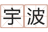 吴宇波鼠宝宝取名字姓潘-命运魔方