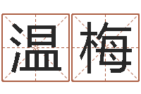 温梅人五行属相特点-好听英文名字