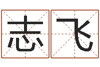 江志飞李姓男孩起名常用字-给宝宝取个好名字