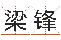 梁锋教育教学研究会-月男金猪宝宝取名