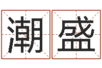 吴潮盛电脑算命专家-根据属相取名