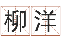 陈柳洋免费算命姓名评分-东方心经四柱预测